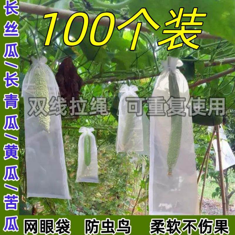 长丝瓜网眼套袋黄瓜青瓜苦瓜套袋专用袋防虫袋保护套瓜果水果瓜果