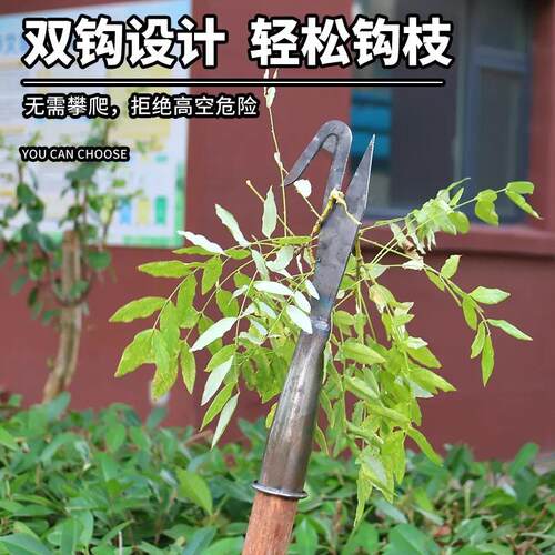 钩高空采摘钩子龙眼荔枝槐厚花香椿PUJ多功能子钢加焊接耐用锰双