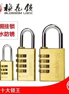梅花锁密码锁挂锁铜锁家用大门锁行李箱锁宿舍储物柜锁防锈防盗锁