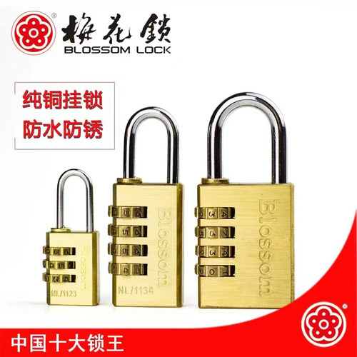 梅花锁密码挂锁防盗防锈大门锁