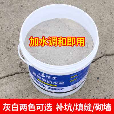 散装水泥地面修补防漏黑白水泥沙子混合自流平家用胶快速干堵漏王