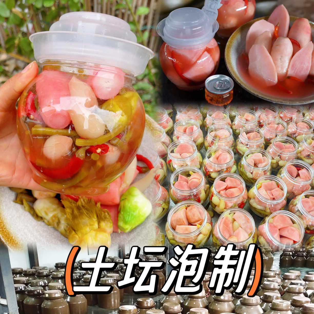 四川老坛母水泡菜农家自制乳酸菌泡萝卜豇豆儿菜藠头大蒜即食下饭