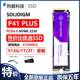 PCIE4.0 PLUS M.2固态硬盘 PS5SSD Solidigm P41 512G NVME