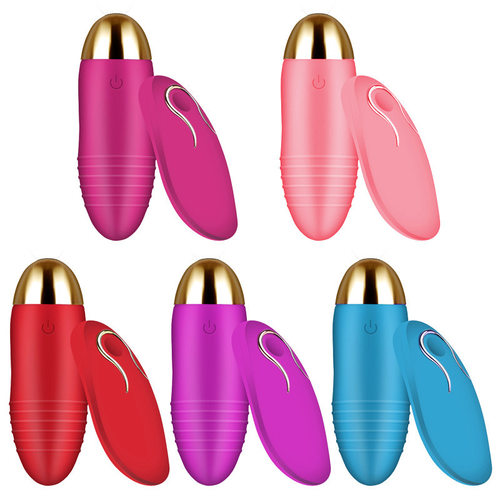 Variable frequency remote control egg skipping female mastu