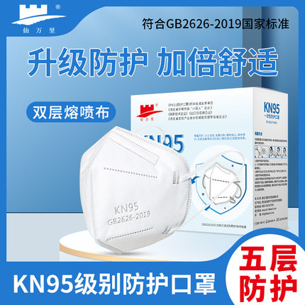 仙万里KN95一次性折叠口罩防飞沫防雾霾粉尘立体防护口罩扁平耳带