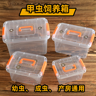 儿童甲虫饲养箱爬虫昆虫成虫幼虫产房透明饲养盒锹甲长戟爬宠箱