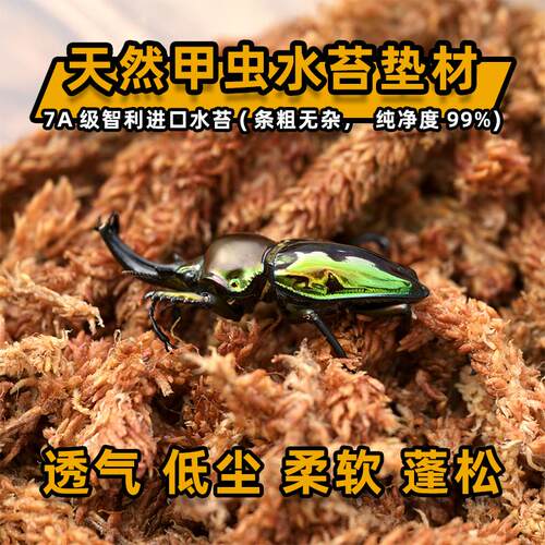 锯锹特宠异扁锹宠垫材
