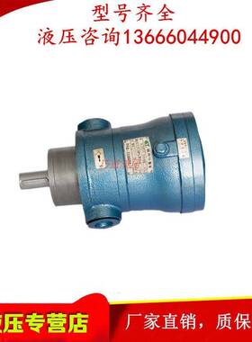 上海邵扬 2.5/5/10/25/40/63/80/100/160/250MCY14-1B 轴向柱塞泵