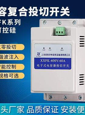 上海威斯康XXFK-400V 60A80A单相分补电容器投切三相共补复合开关