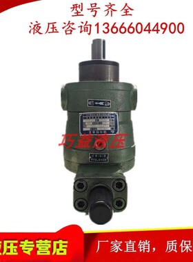 上海申福10/25/32/40/63/80/100/160/250/400YCY14-1B 轴向柱塞泵