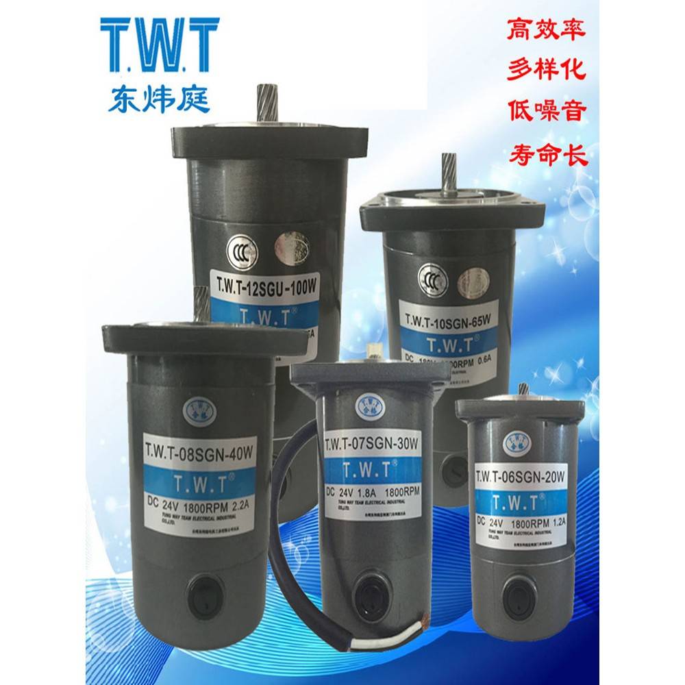 东炜庭电机TWT-06 07 08 10SGN 10SGU 12V 24V 90V 180V直流马达
