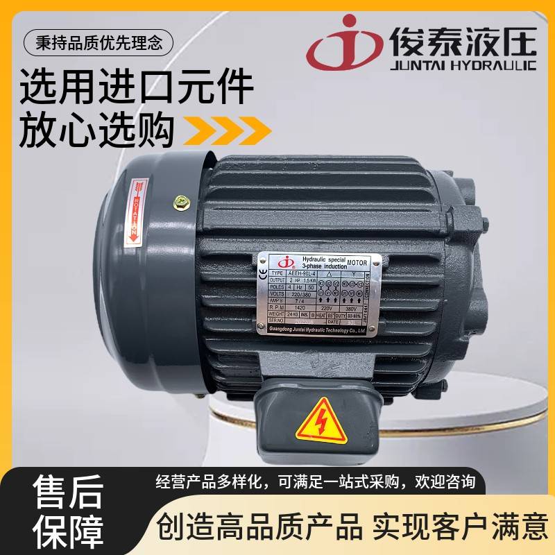 JUNTAI俊泰AEEH-80-4 90L 100L 112M 0.75 1.5 2.2 3.7 5.5KW电机