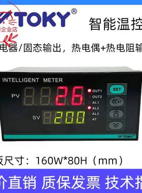 TOKY东崎TE80-S/RC10W温控表INTELLIGENT METER智能控制器K PT100
