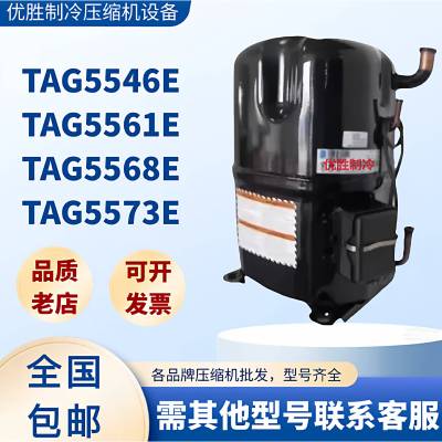 TAG5561E TAG5568E TAG5573E TAG5546E泰康低温冷水机空调压缩机