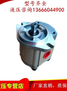 台湾KOMPASS康百世P216RP/P219RP/P222R/P225RP/P233RP01DT齿轮泵