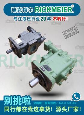 瑞克梅尔Rickmeier齿轮油泵R35/63 FL-Z-R-SO燃油分油机供给泵