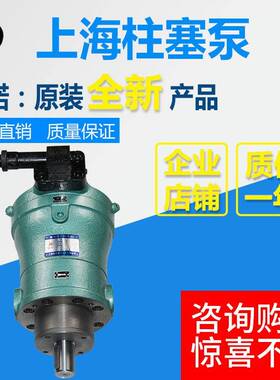 10PCY 16PCY 25PCY 32PCY 40PCY 108PCY 400PCY14-1B/轴向柱塞泵