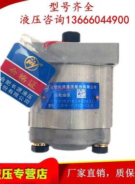 合肥长源液压齿轮泵CBW-F304 F306 F310-ALPL AFPL CLPL CFPL油泵