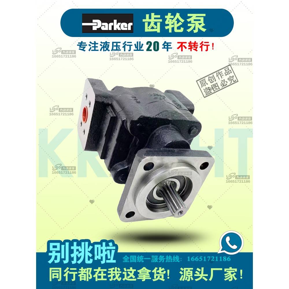 Parker派克液压高压齿轮泵7029111079 PGP620A0360CD1H3NE8E6B1B1