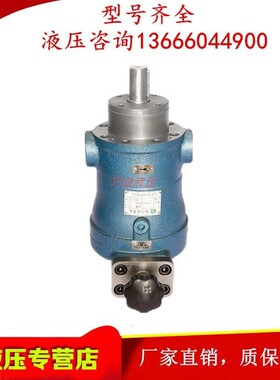 上海邵扬油泵10/16/25/40/63/80/100/160/250SCY14-1B 轴向柱塞泵