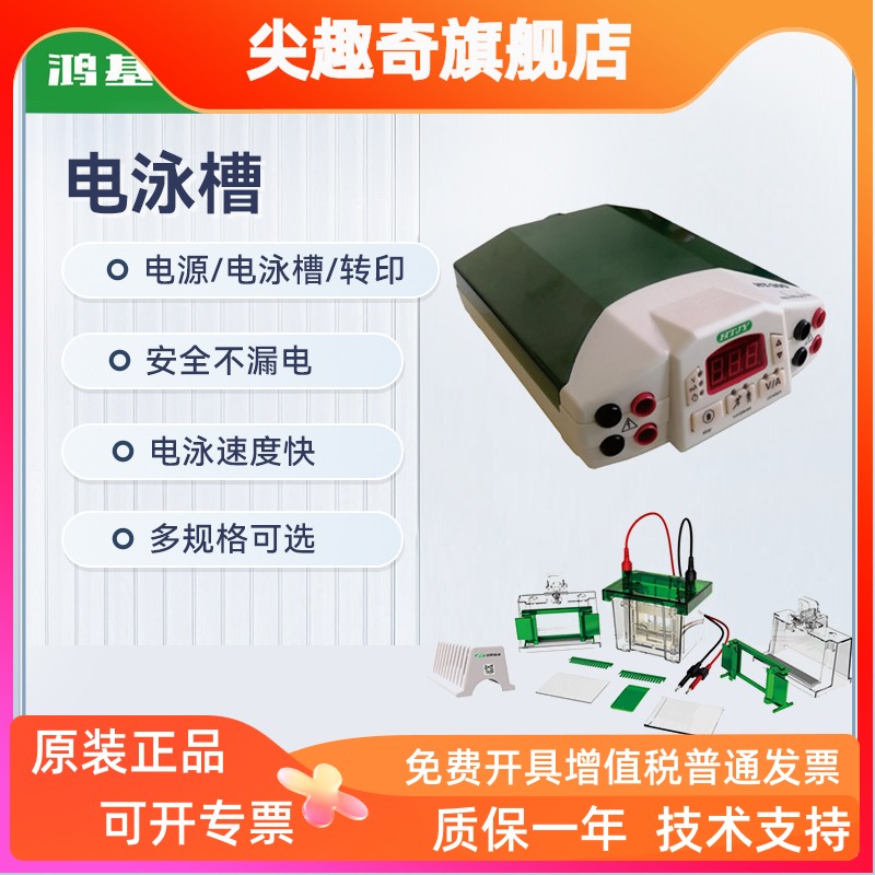 鸿基电泳HT-Mini01垂直电