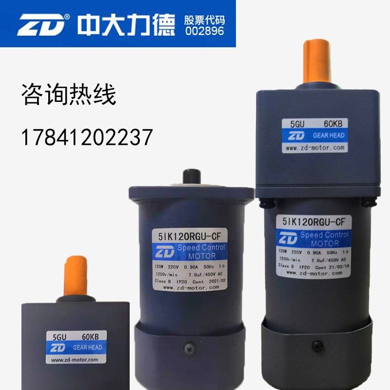 中大力德微型交流减速电机5IK120RGU-CF/5GU60KB