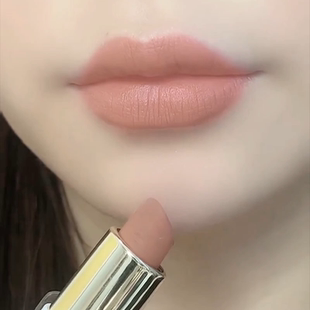 不掉色不沾杯白桃肉桂奶茶胡萝卜色口红雨衣哑光显白孕妇任何唇色