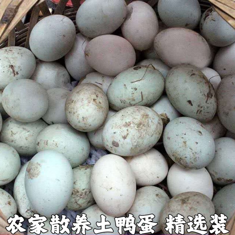 湖北农家新鲜鸭蛋正宗青皮散养