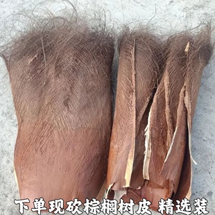 棕树皮棕榈皮棕榈丝棕榈树皮棕丝棕皮棕榈树毛棕片棕树毛精选包邮