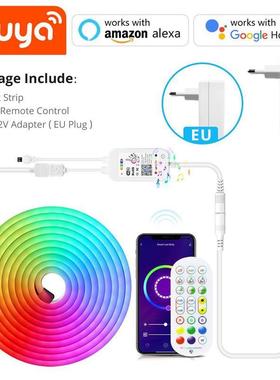 12V LED Strip Neon Lights Tuya Smart Life WiFi Bluetooth RGB
