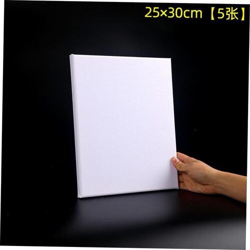 Stretched Canvas Board Painting Canvas for Oil Acrylic Paint