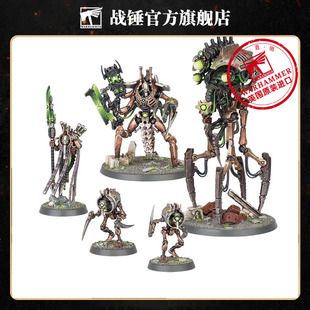 战锤40K太空死灵:皇室Necrons: Royal Court