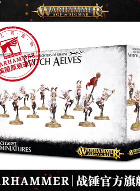 战锤西格玛时代凯恩之女:女巫精灵 秩序 Warhammer Age Of Sigmar