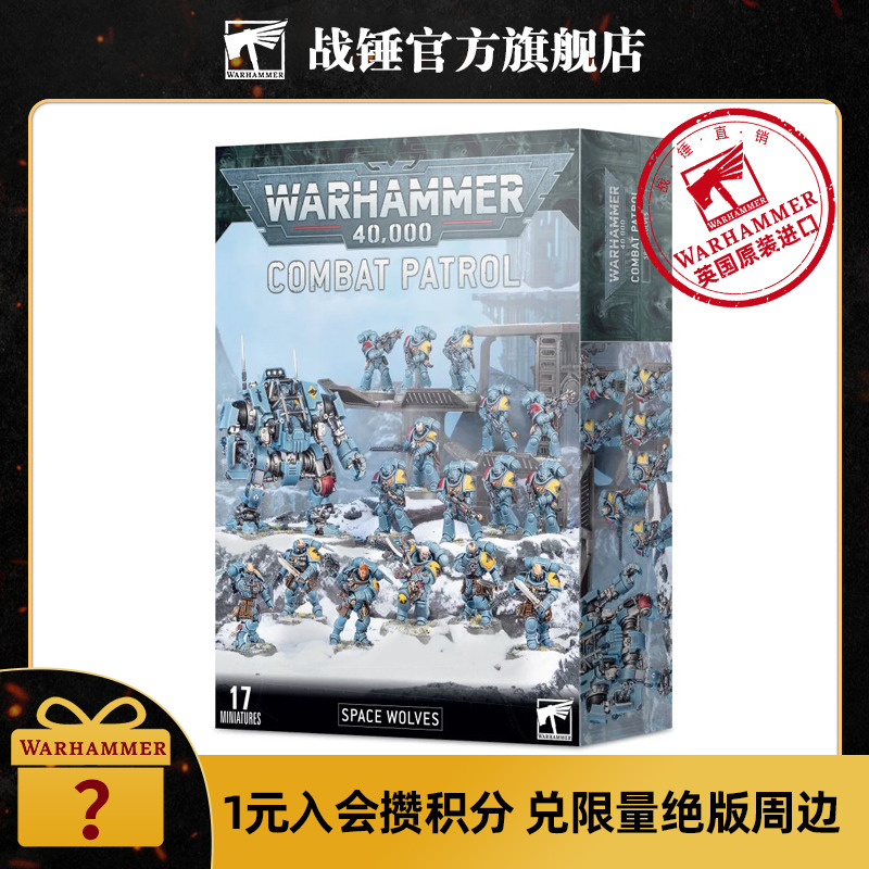 战锤40K战斗巡逻队:太空野狼 COMBAT PATROL: SPACE WOLVES