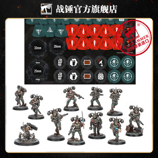 战锤40K杀戮小队：风暴飞鹰 帝国 Kill Team: Tempestus Aquilons