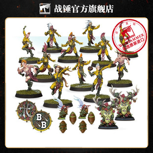 血碗：木精灵队BLOOD BOWL: WOOD ELF TEAM