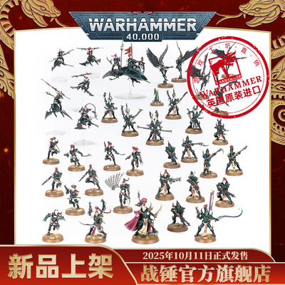 黑暗灵族：现实空间掠袭者Drukhari: Realspace Raiders
