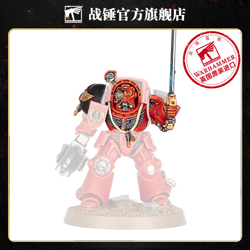 战锤40K圣血天使：改件和水贴Upgrades & Transfers