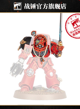 战锤40K圣血天使：改件和水贴Upgrades & Transfers