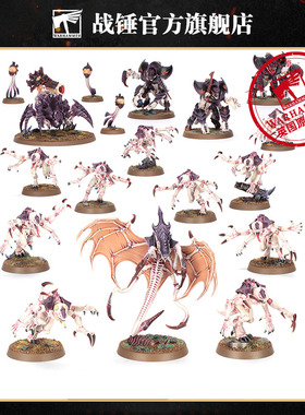 战斗巡逻队：泰伦虫族突击队Combat Patrol: TyranidAssaultBrood