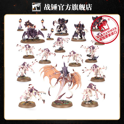 战斗巡逻队：泰伦虫族突击队Combat Patrol: TyranidAssaultBrood