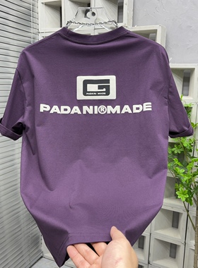 夏季新款潮牌印花短袖男简约轻奢紫色打底T恤衫休闲百搭圆领半袖