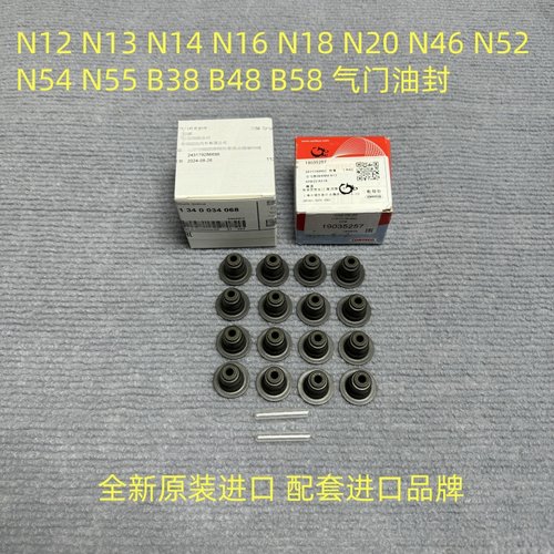 适用宝马N20N46N52N55 B48 MINI 1系3系5系7系X1X3X5X6Z4气门油封