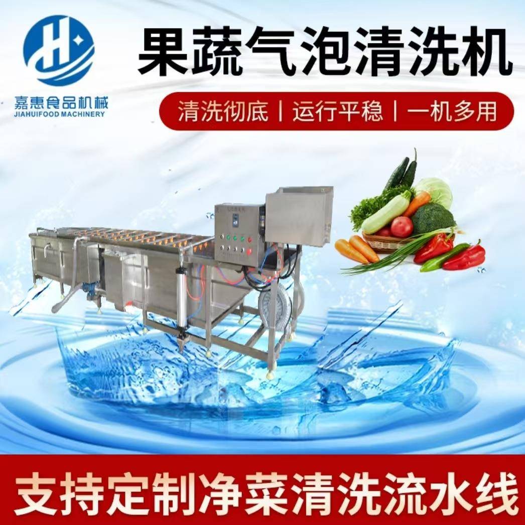 龙门提升式气泡清洗机水果蔬菜清洗机器去农残清洗设备