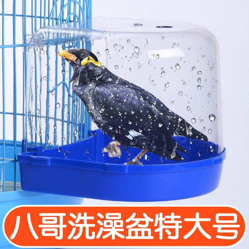 小鸟八哥洗澡盆特大号专用虎皮玄凤洗澡盒外内挂用品大全