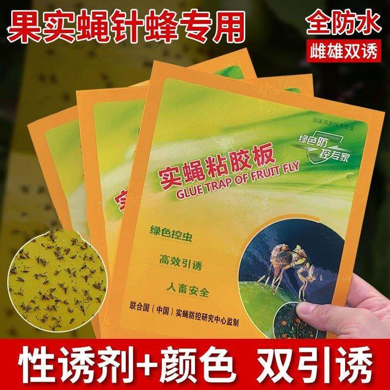 瓜果实蝇诱粘板果蝇桔小实蝇针蜂黏板粘胶板粘虫板诱捕贴果蝇贴,农机/农具/农膜,农用灭虫板/诱虫板,淘宝优惠券,粉丝福利购,淘宝优惠卷