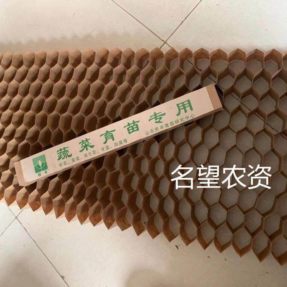 新型蜂窝育苗纸杯筒蜂窝育苗袋纸质育苗盘营杯纸筒菜苗育苗盘