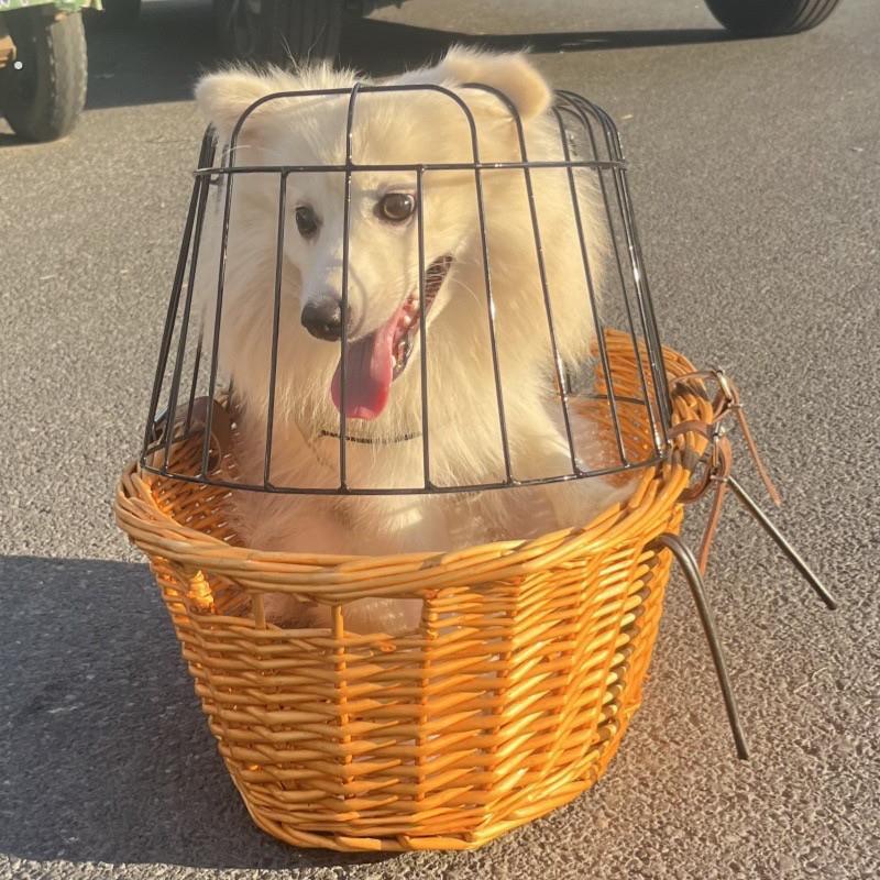 电动汽车狗座椅藤自行车篮子宠物笼猫和狗汽车篮子购物篮编织框架