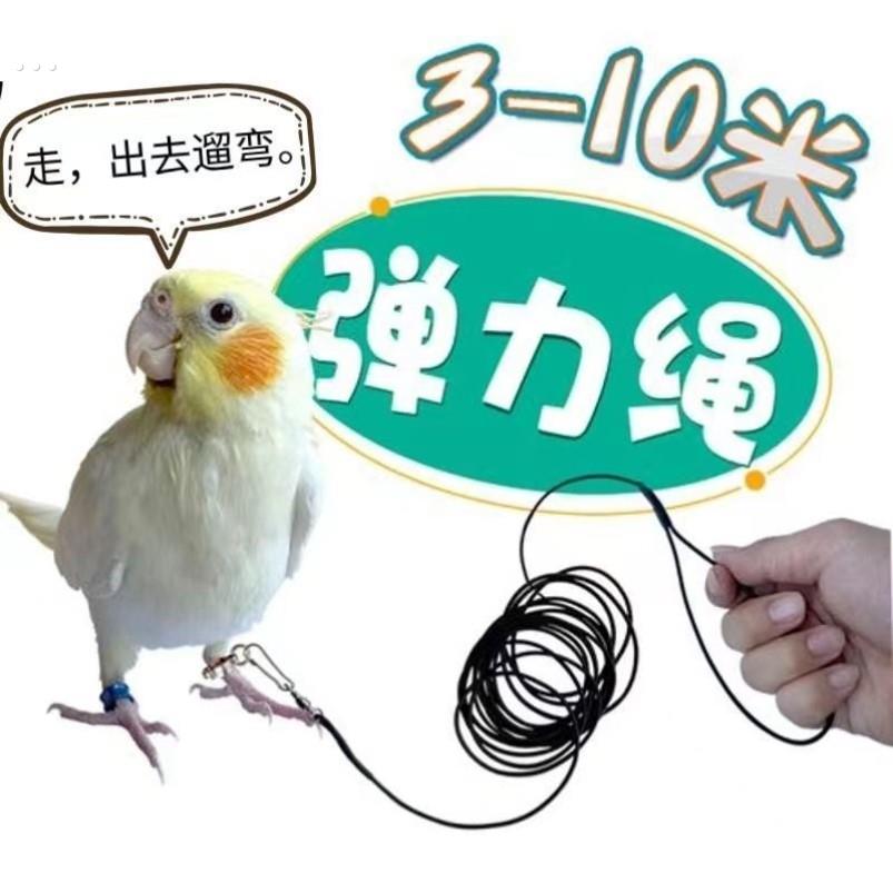 虎皮鹦鹉超轻放飞任意遛鸟神器虎皮牡丹玄凤不伤牵引脚链牵引绳