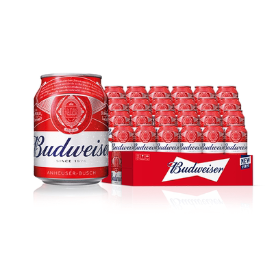 百威啤酒经典迷你255ml*12罐装